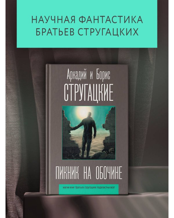 Пикник на обочине