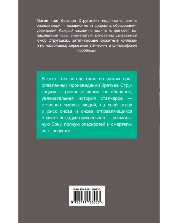 Пикник на обочине