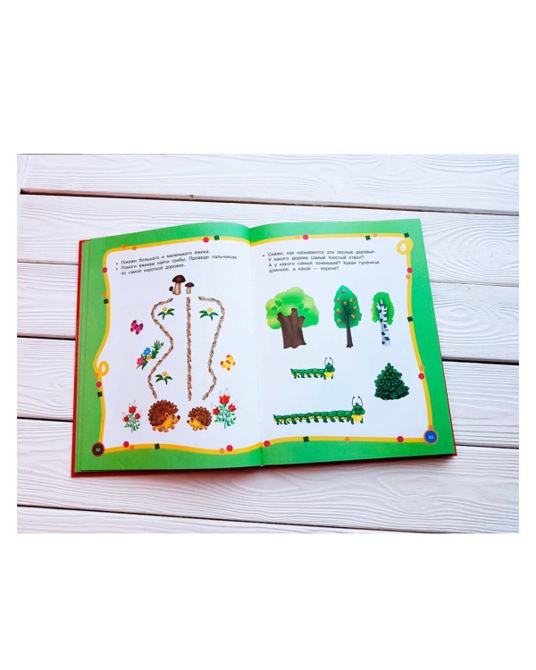 Большой годовой курс для занятий с детьми 3-4 года