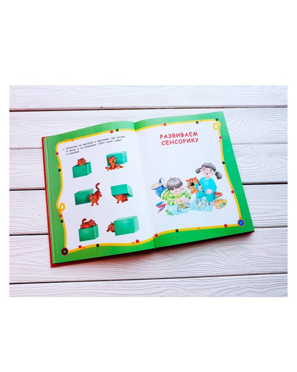 Большой годовой курс для занятий с детьми 3-4 года