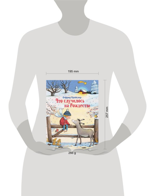 Что случилось на Рождество (ил. К. Хансен)