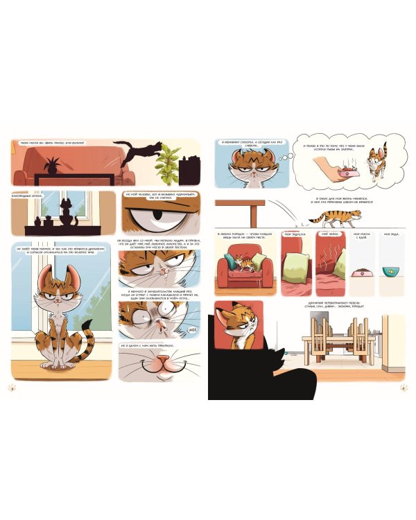 Мяумяу. Эти странные люди