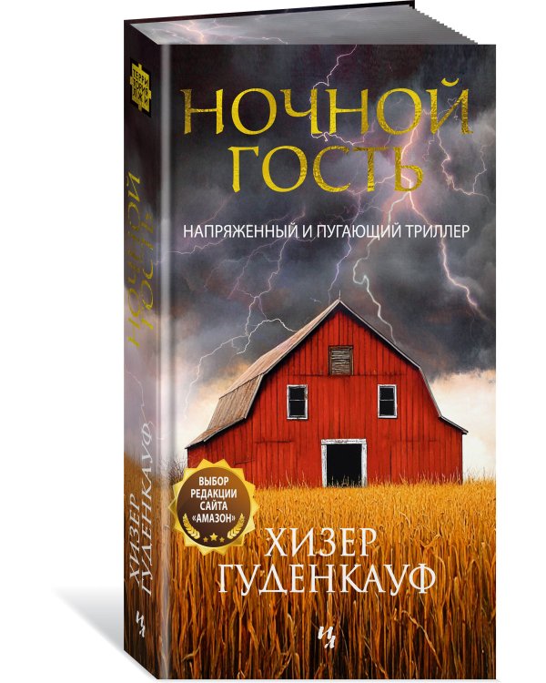 Ночной гость