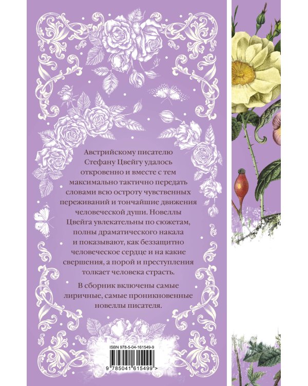 Письмо незнакомки