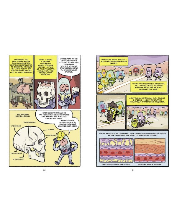 Мозг. Научный комикс
