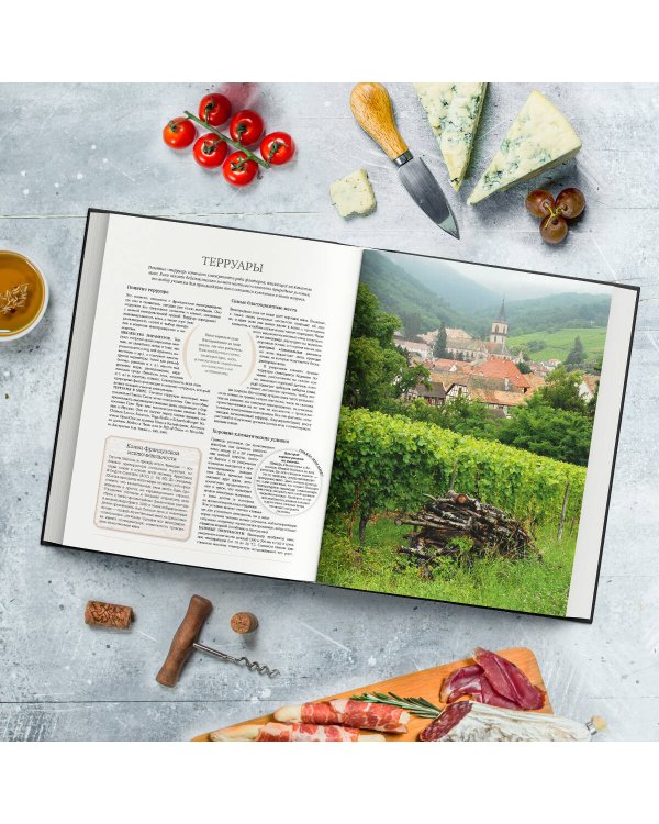 Ларусс. Вино. Энциклопедия