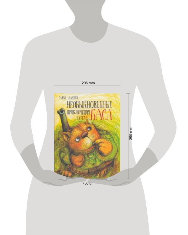 Необыкновенные приключения кота Баса