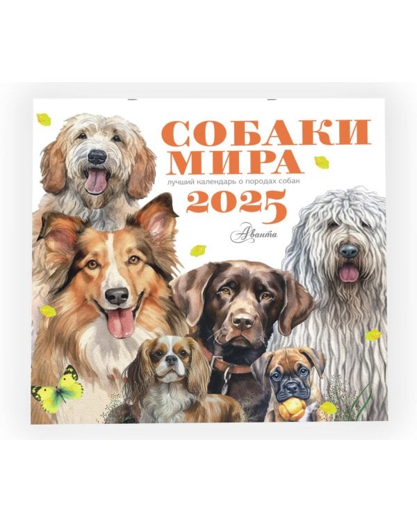 Собаки мира. Календарь для детей на 2025 год