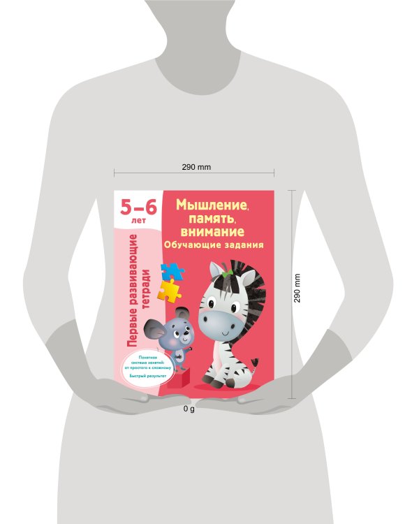 Мышление, память, внимание. Обучающие задания. 5-6 лет