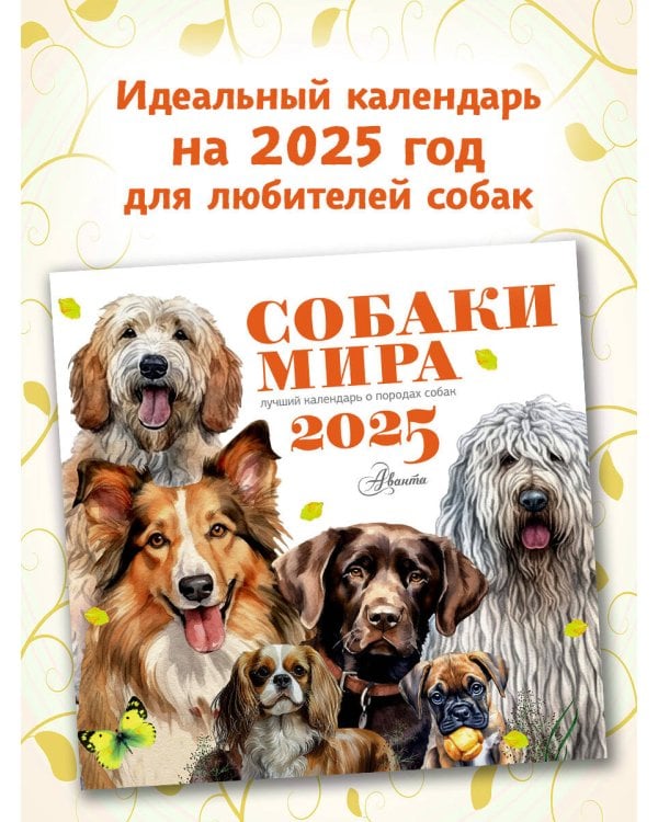 Собаки мира. Календарь для детей на 2025 год