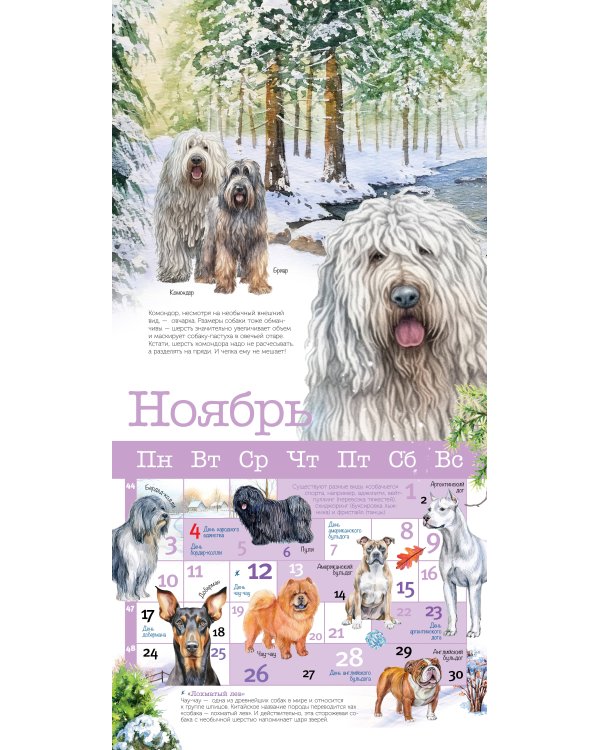 Собаки мира. Календарь для детей на 2025 год