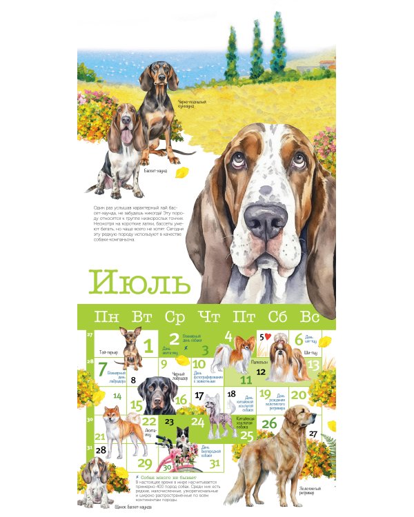 Собаки мира. Календарь для детей на 2025 год