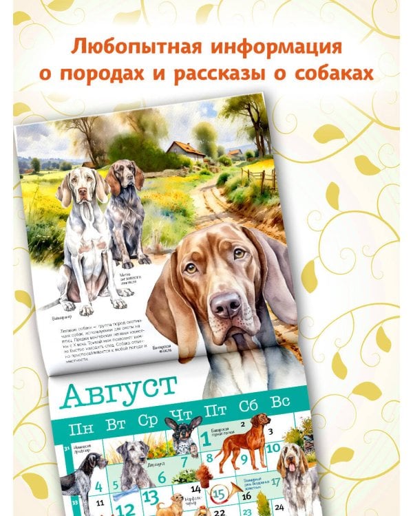 Собаки мира. Календарь для детей на 2025 год