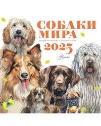 Собаки мира. Календарь для детей на 2025 год