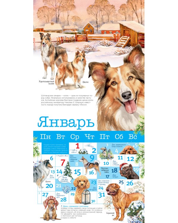 Собаки мира. Календарь для детей на 2025 год