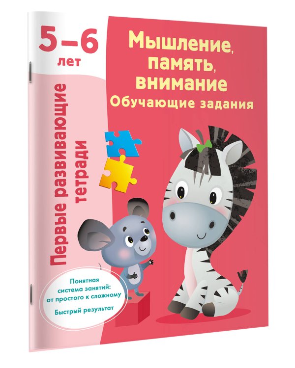 Мышление, память, внимание. Обучающие задания. 5-6 лет