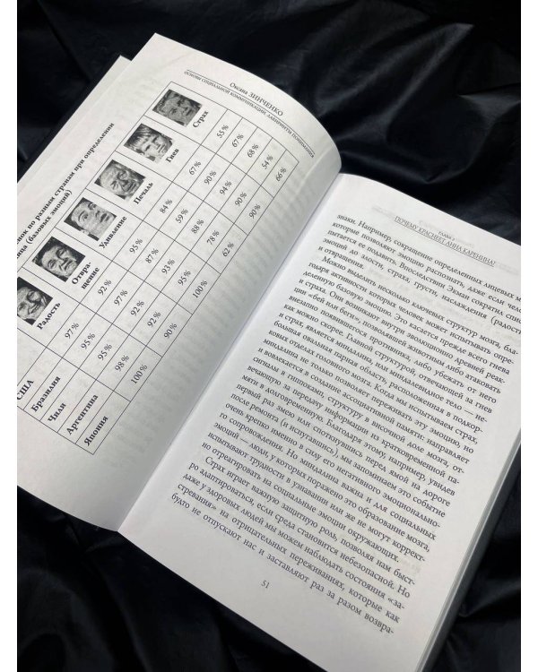 Основы социальной коммуникации. Лабиринты понимания