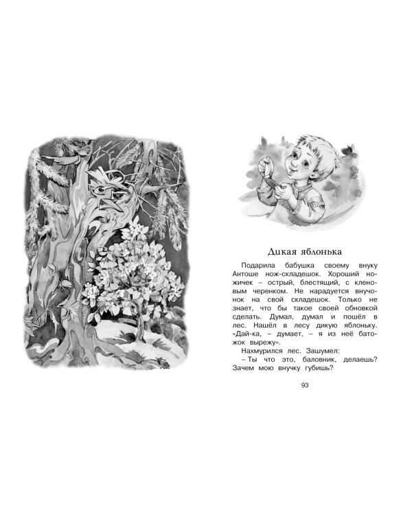 Волшебные краски. Рассказы и сказки