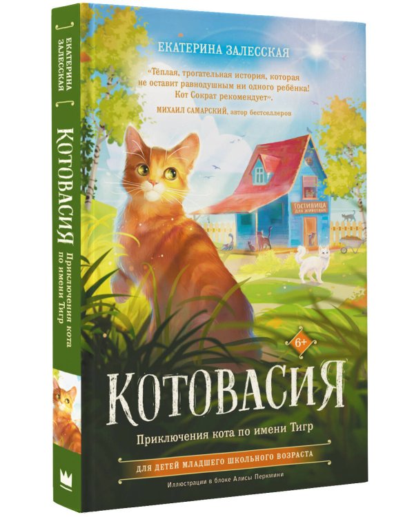 Котовасия. Приключения кота по имени Тигр