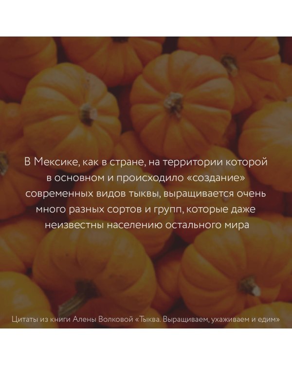 Тыква. Выращиваем, ухаживаем и едим