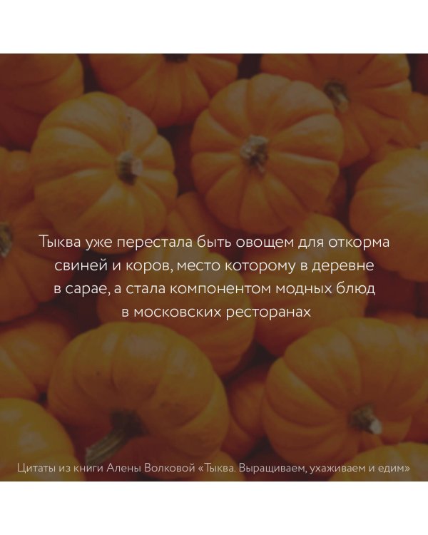 Тыква. Выращиваем, ухаживаем и едим