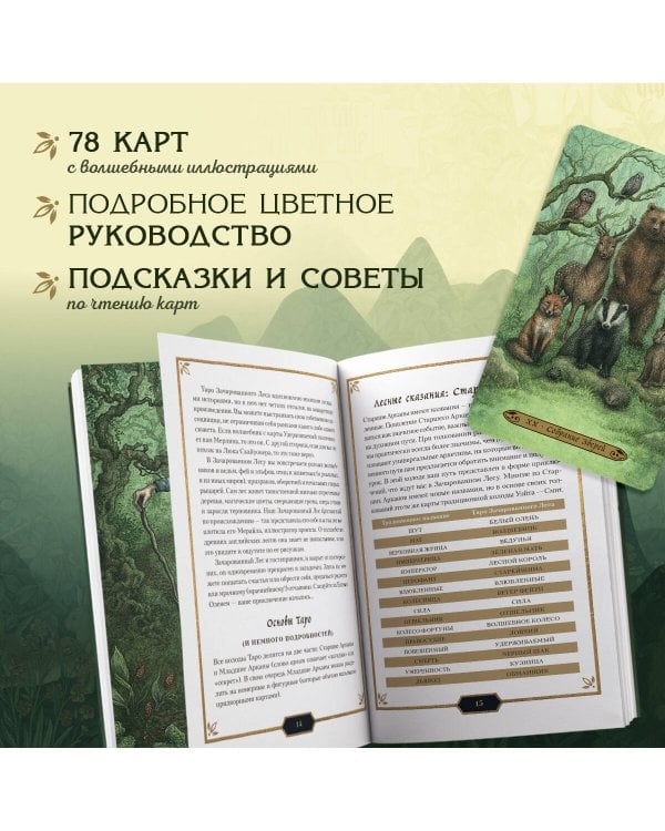 Таро Зачарованного леса (78 карт и руководство по работе с колодой в подарочном оформлении)