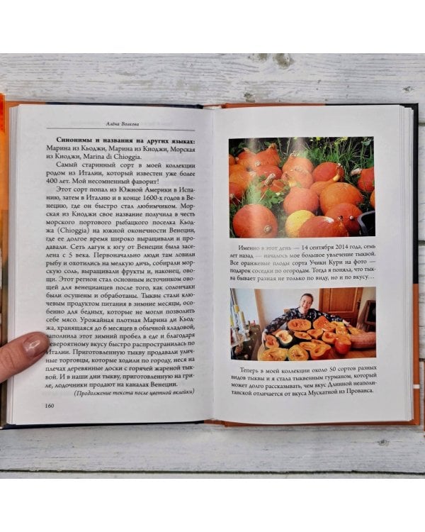 Тыква. Выращиваем, ухаживаем и едим