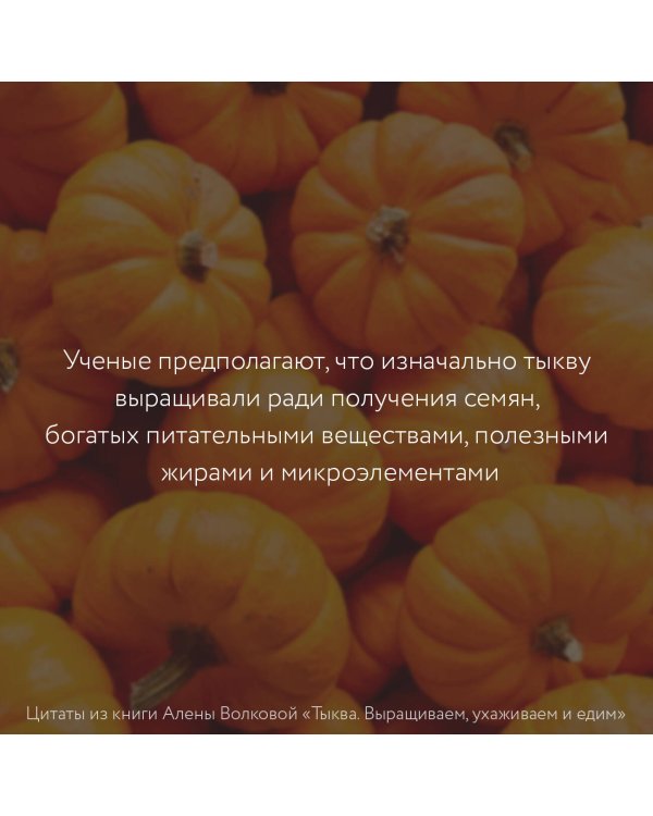 Тыква. Выращиваем, ухаживаем и едим