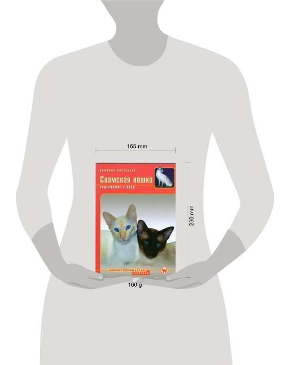 Сиамская кошка