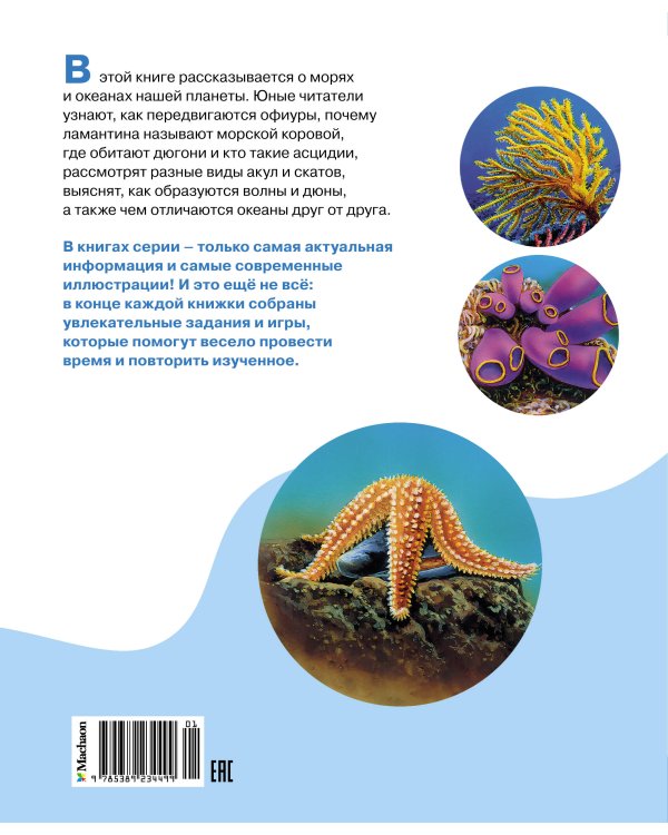 Море и его обитатели