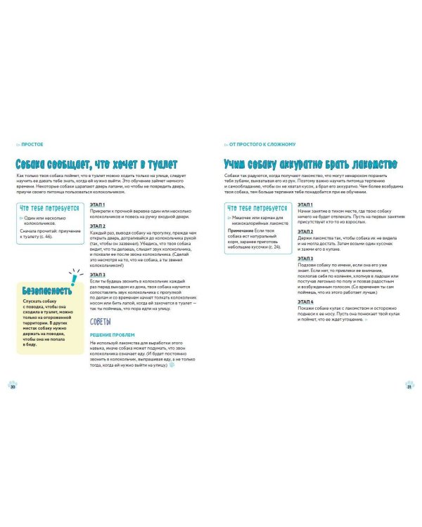 Твоя собака. Воспитание и тренировка