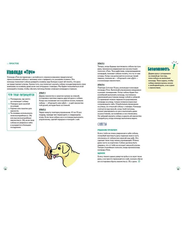 Твоя собака. Воспитание и тренировка