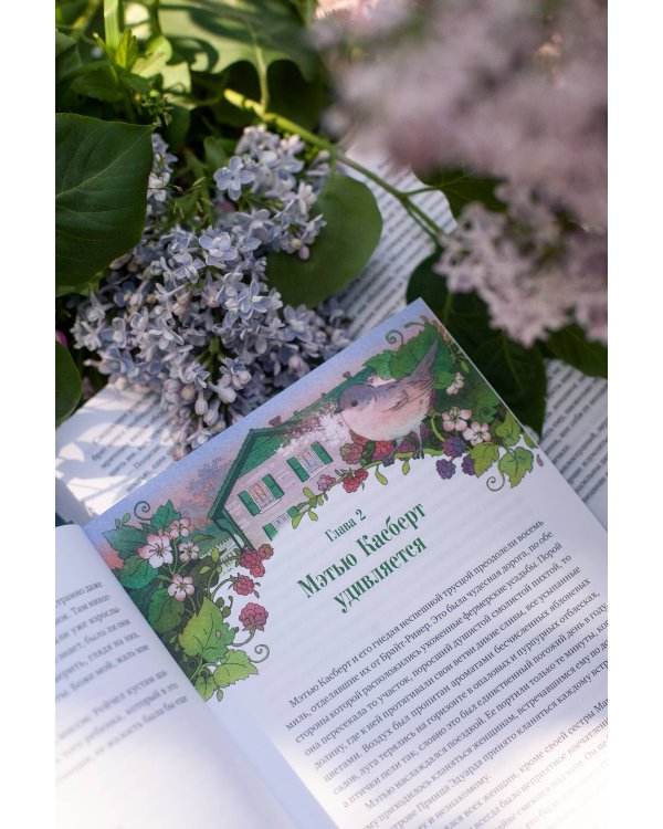 Аня из зеленых мезонинов