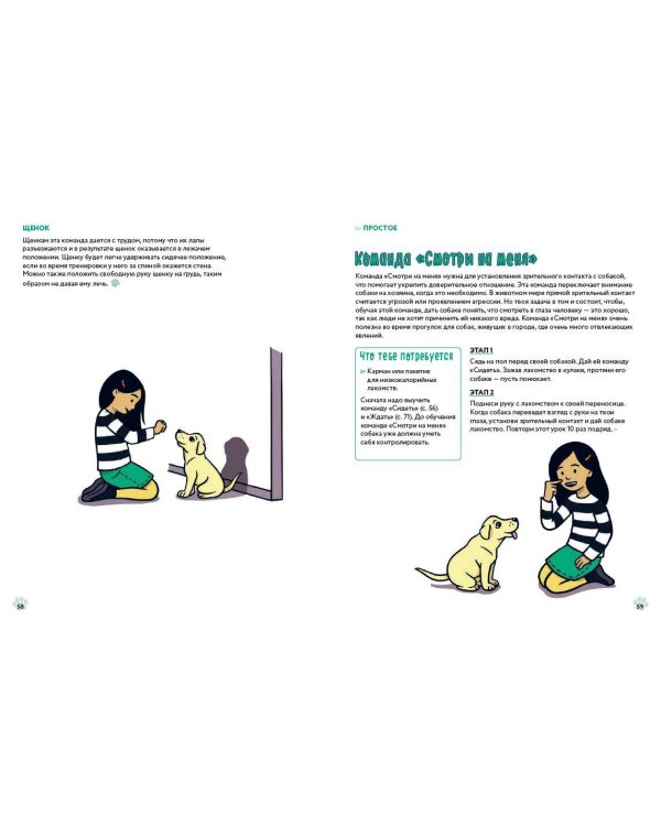Твоя собака. Воспитание и тренировка