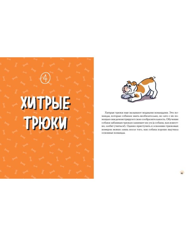 Твоя собака. Воспитание и тренировка