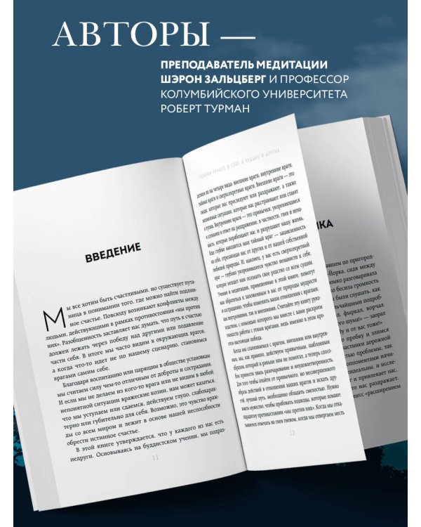 Полюби лучшее в себе и худшее в других. Книга прощения, принятия и обретения спокойствия