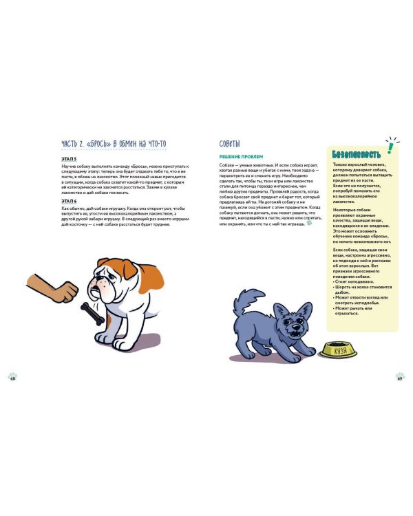 Твоя собака. Воспитание и тренировка