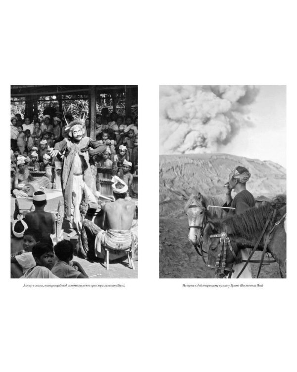 Путешествия натуралиста. Приключения с дикими животными