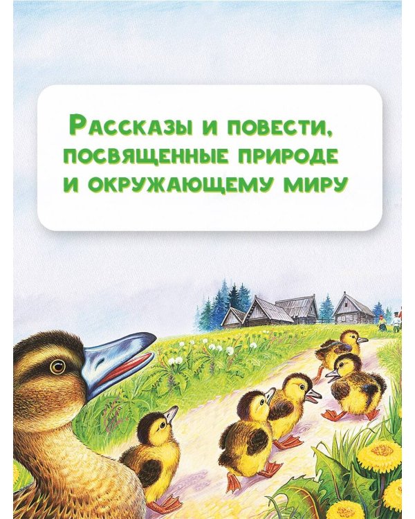 Лисичкин хлеб. Рассказы