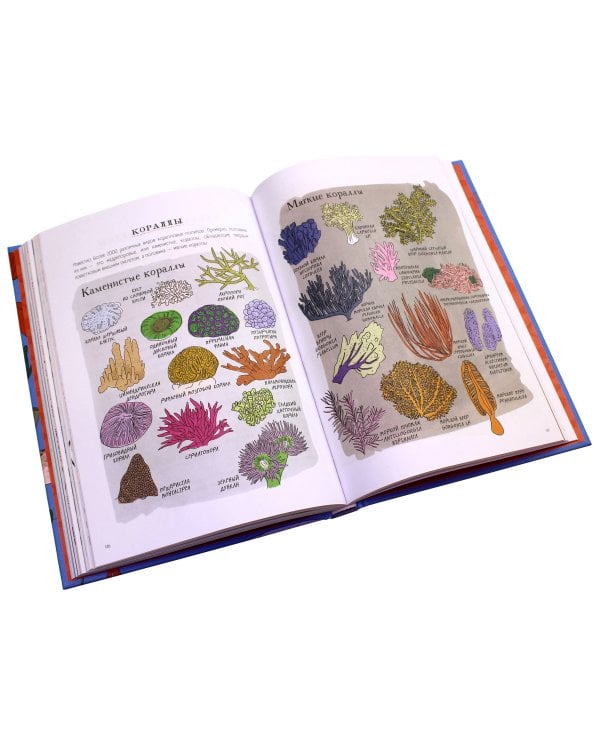 Анатомия океана. Занимательные детали жизни подводного мира