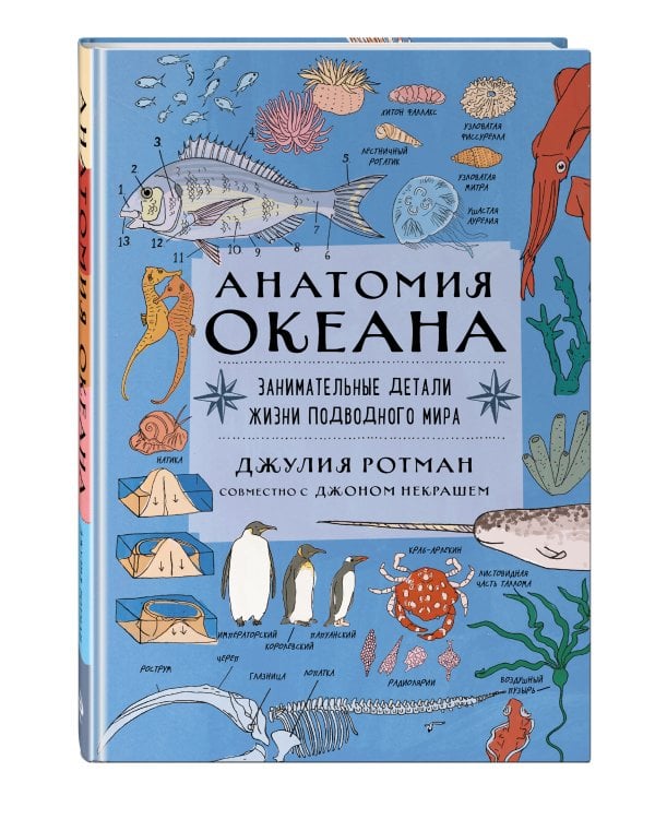 Анатомия океана. Занимательные детали жизни подводного мира