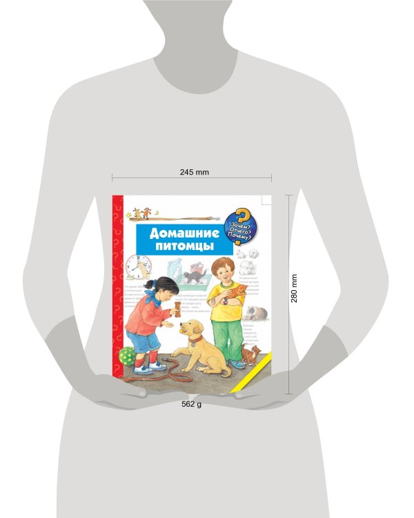 Домашние питомцы