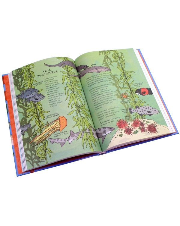 Анатомия океана. Занимательные детали жизни подводного мира