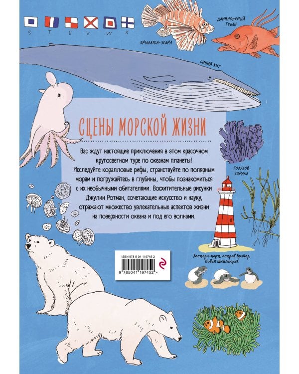 Анатомия океана. Занимательные детали жизни подводного мира