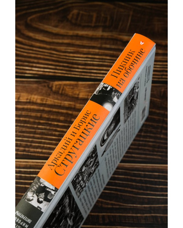 Пикник на обочине