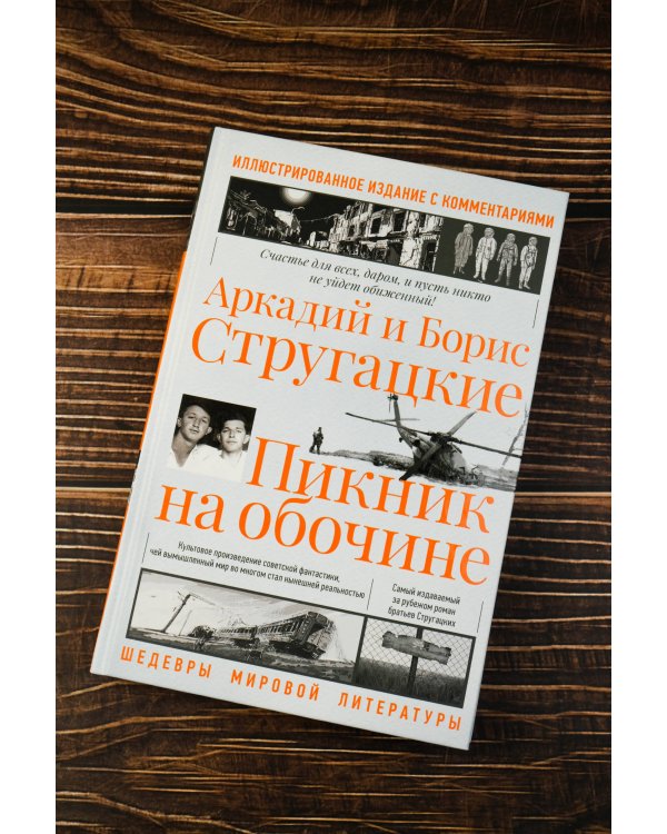 Пикник на обочине