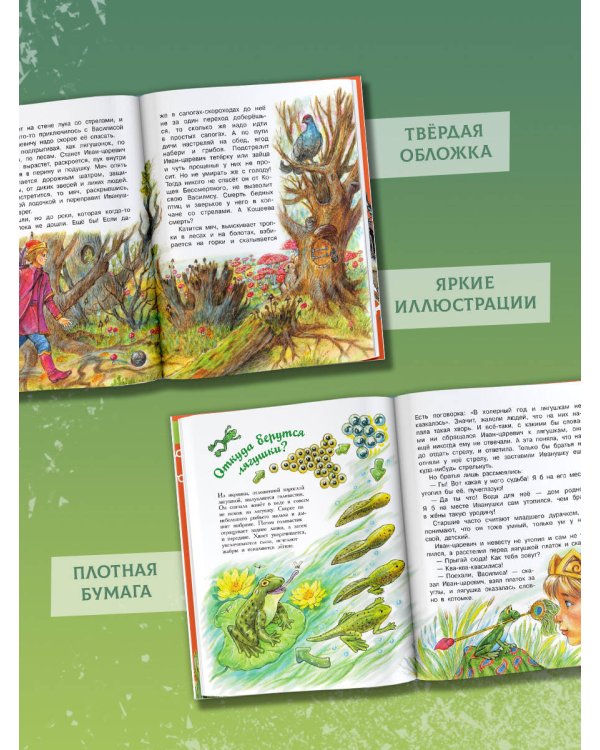 Царевна-лягушка