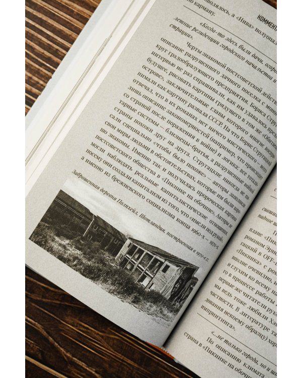 Пикник на обочине