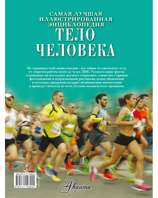 Тело человека