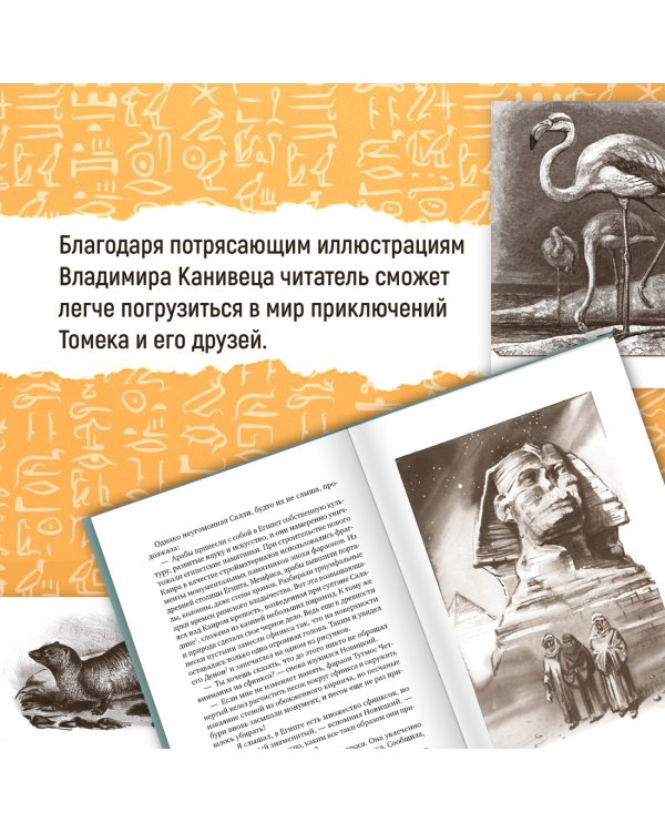 Томек в стране фараонов